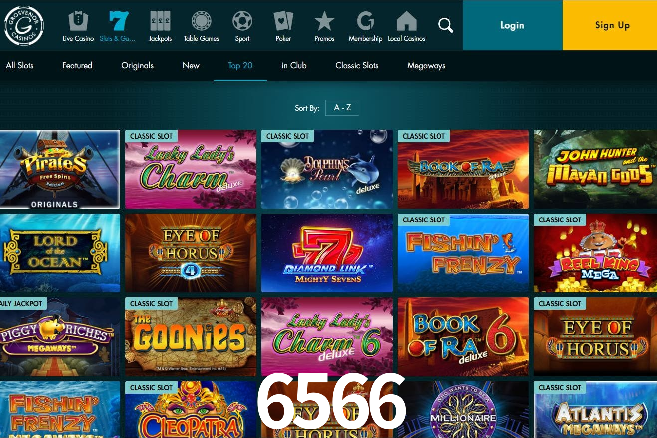 Experiência VIP 6566