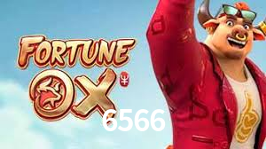 6566,6566Bet